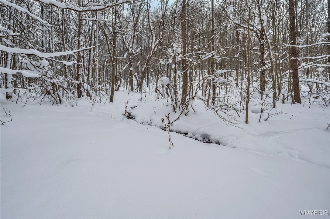 V/L Clare Valley Road, Franklinville, New York image 7