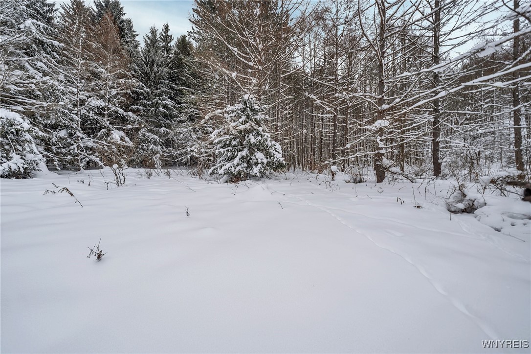 V/L Clare Valley Road, Franklinville, New York image 9