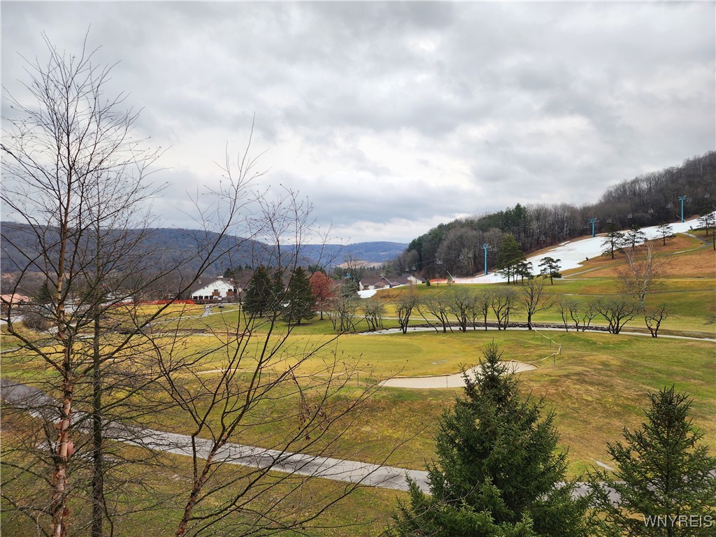 317/319-4 Tamarack, Ellicottville, New York image 16