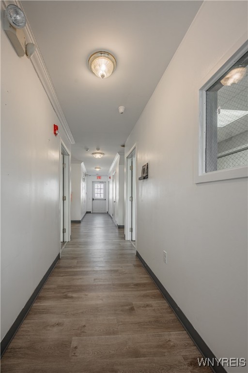 Newfane, New York 14108, United States, ,Commercial,Active,131069