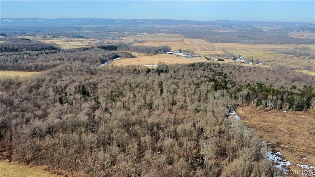 VL Kellogg Hill Road, Leon, New York image 13