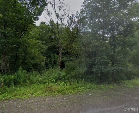 Photo of Lot 17 Grange Hall Road, Franklin, NY 13820 (MLS # B1659468)