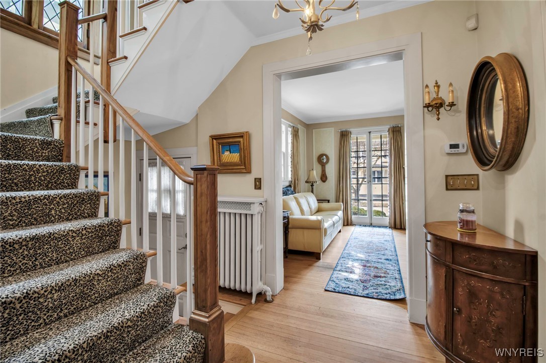 41 Saybrook Place, Buffalo, New York image 4