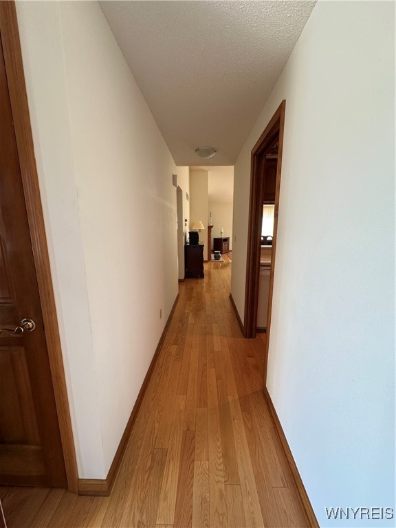 81 Hastings Drive, Orchard Park, New York image 19