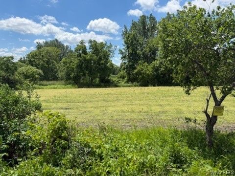 Vacant Land For Sale - Drake Road<br/> Genesee County, Oakfield, NY 14125