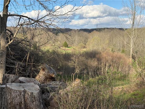Vacant Land For Sale - Hubbard Road<br/> Aurora, NY 14052