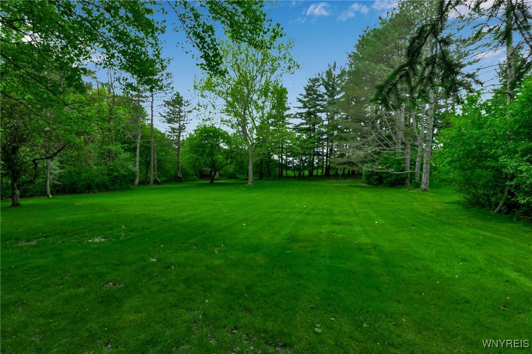 131 Idlewood Drive, Aurora, New York image 5