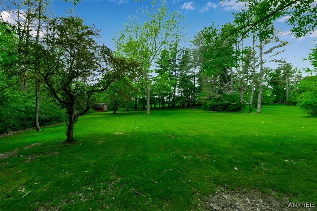 131 Idlewood Drive, Aurora, New York image 6