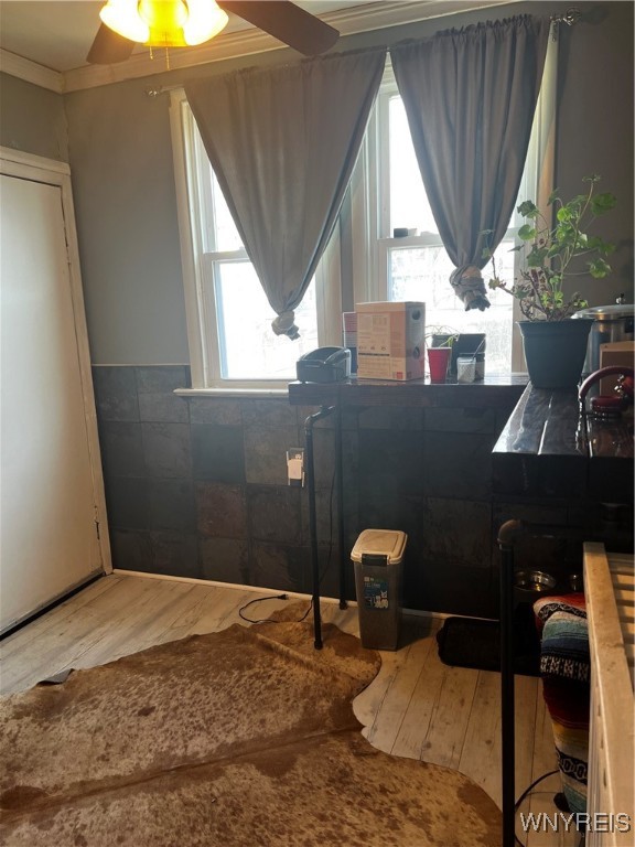 296 Humboldt Parkway, Buffalo, New York image 17