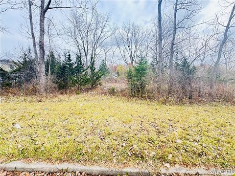 46 Fairgreen Drive Buffalo NY 14228