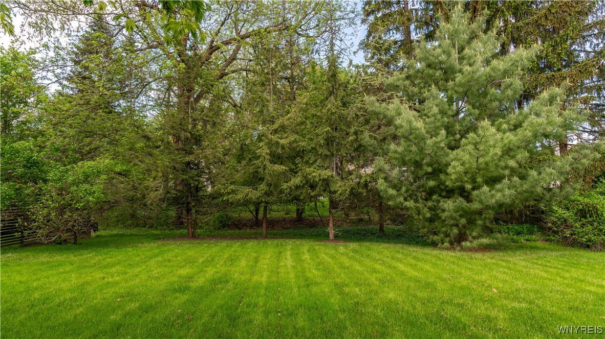 29 Ventura Drive, Orchard Park, New York image 49