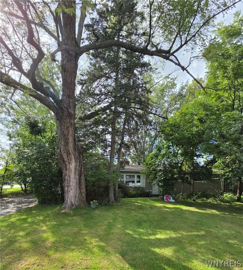 77 Lee Street