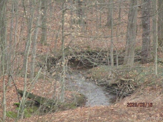 6743 Finley Road, Portland, New York image 5