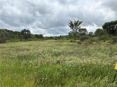 Vacant Land For Sale - Two Rod<br/> Marilla, NY 14052