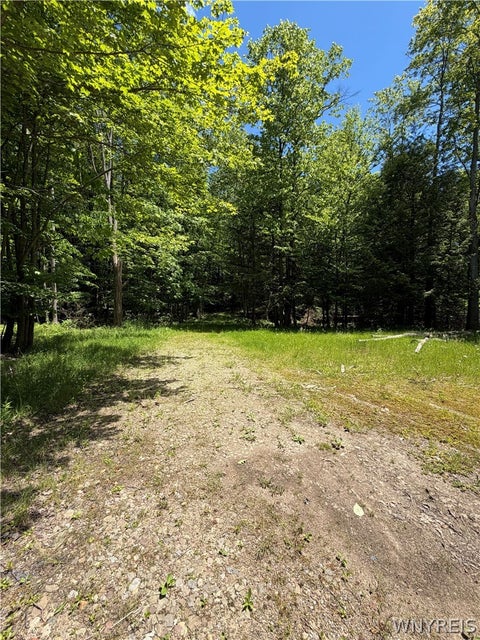 Tiny photo for 13800 Pritchard Road, Concord, NY 14141 (MLS # B1689175)