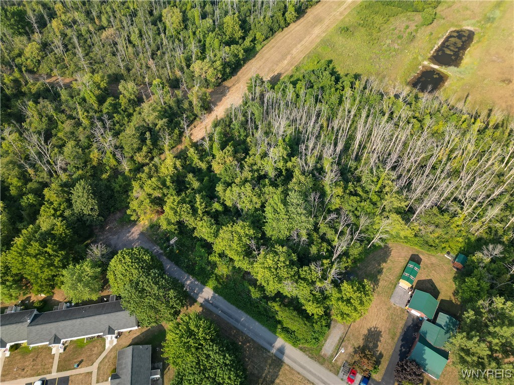 Shelby, New York 14103, United States, ,Land,Active,212691