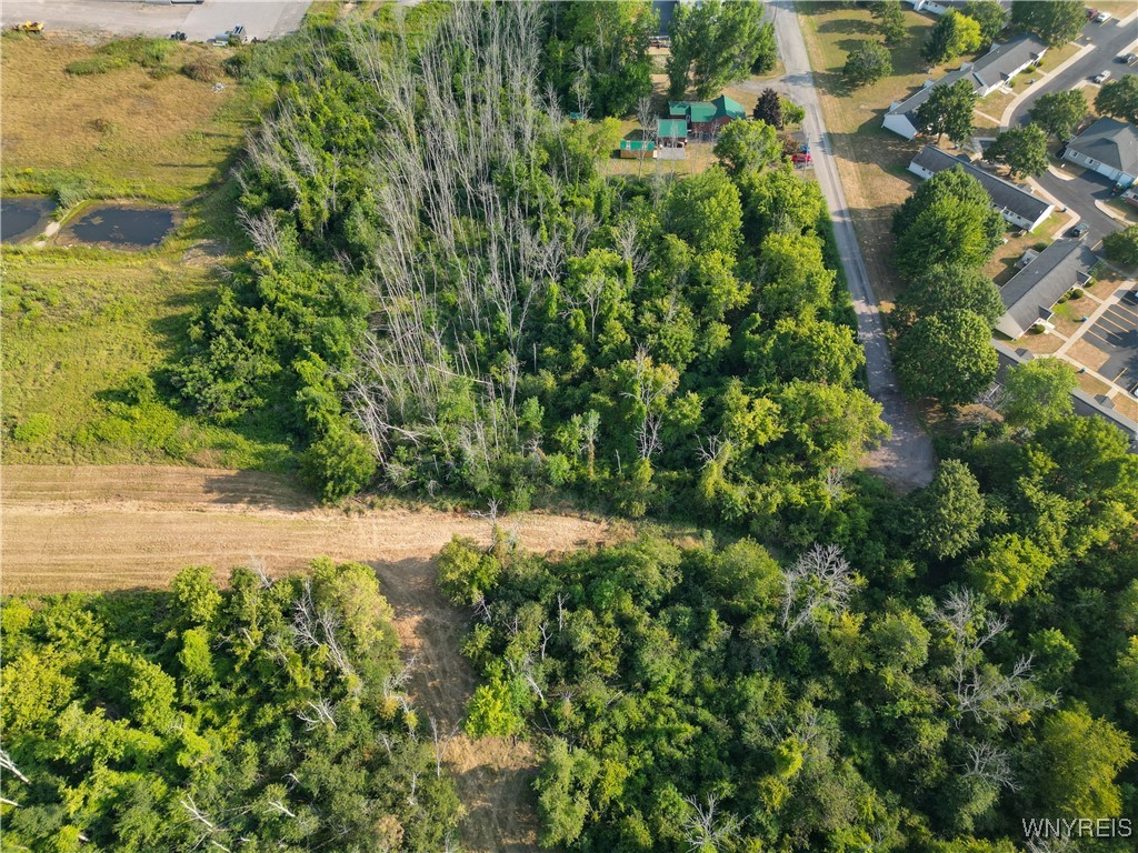 Shelby, New York 14103, United States, ,Land,Active,212691