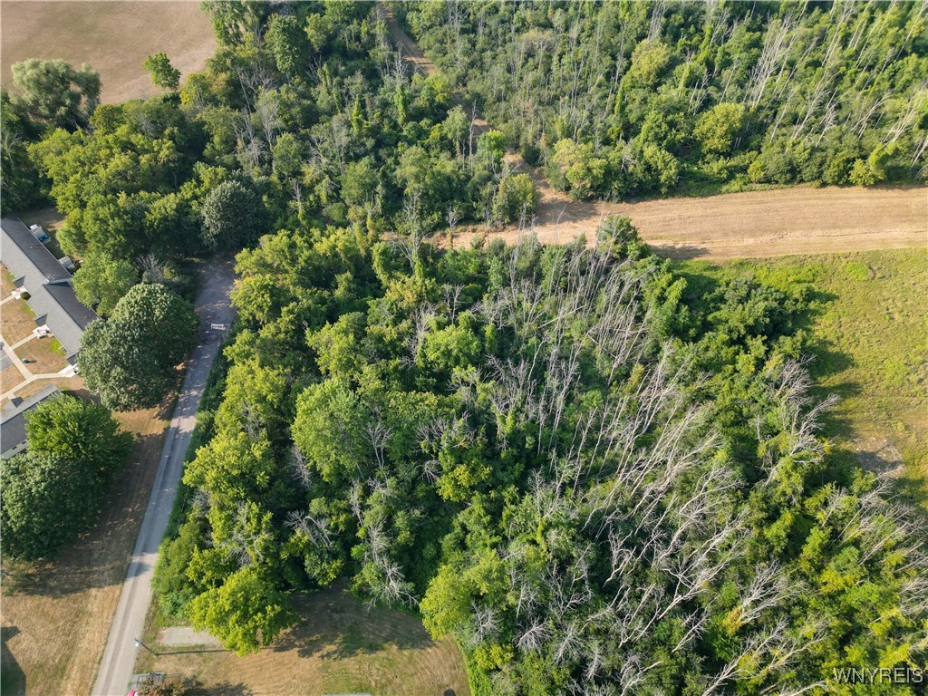 Shelby, New York 14103, United States, ,Land,Active,212691