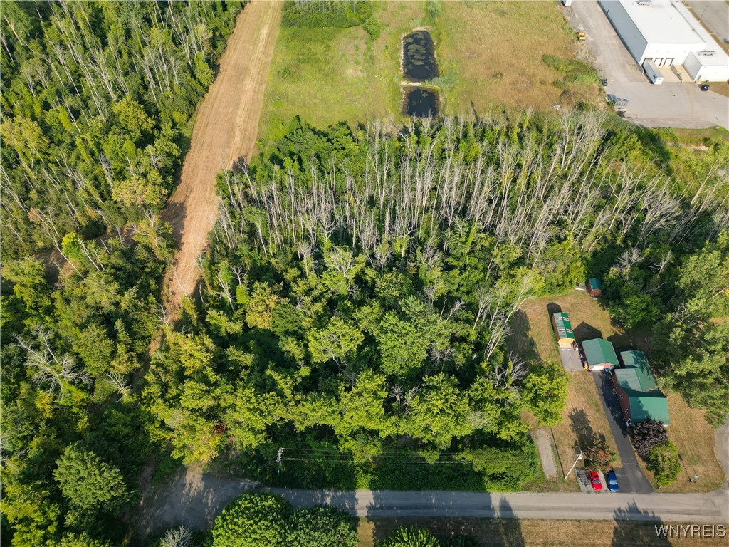 Shelby, New York 14103, United States, ,Land,Active,212691