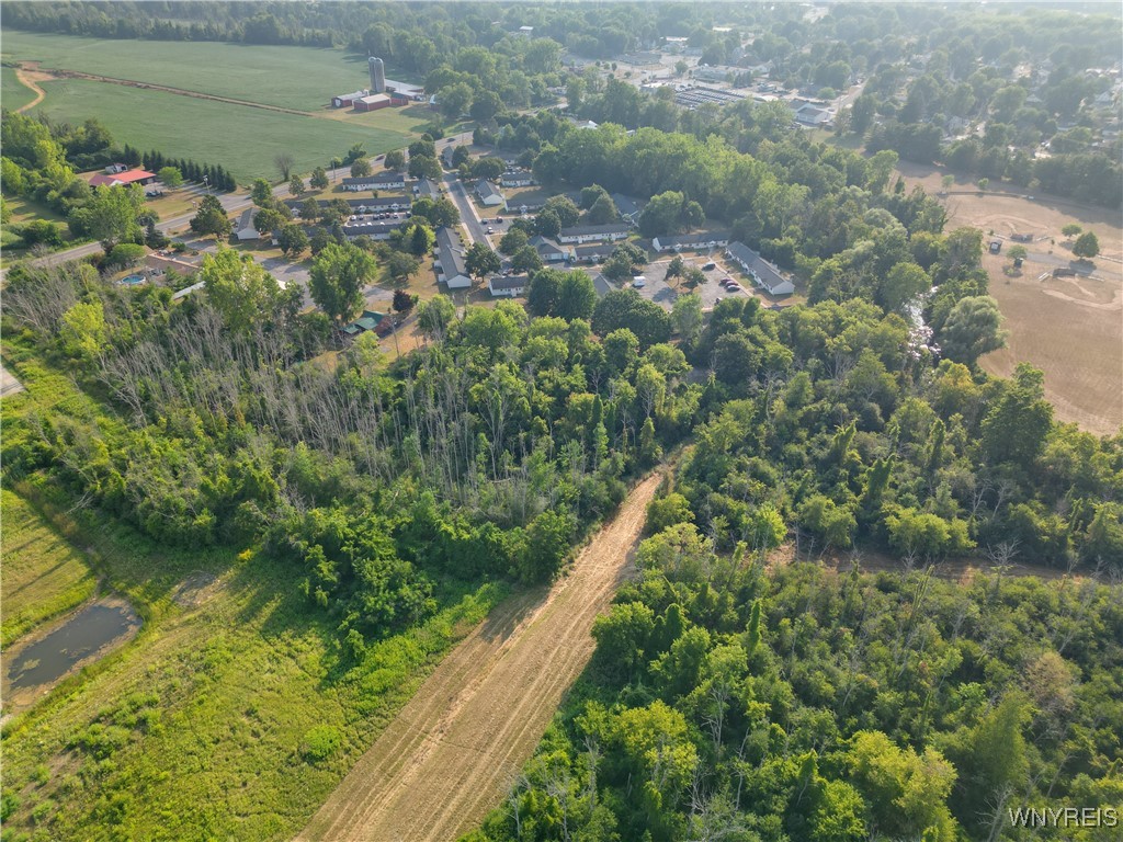 Shelby, New York 14103, United States, ,Land,Active,212691