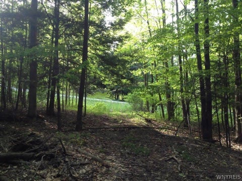 Vacant Land For Sale - 9 Cherrywood Ridge<br/> Holland, NY 14080