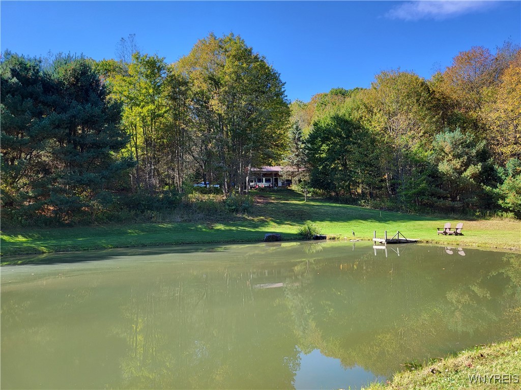 8686 Gephart Road #9, Clarksville, New York image 18