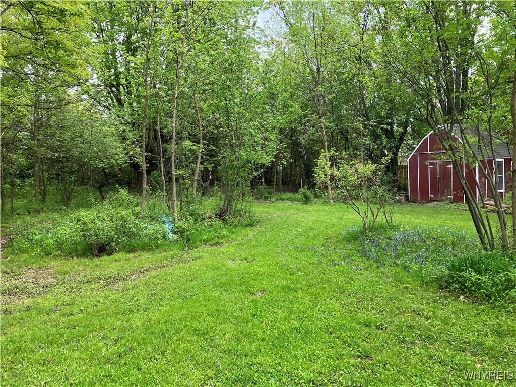 432 Sunset Drive, Hamburg, New York image 3