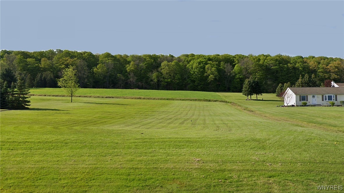 Ridge Road, Lewiston, New York image 1