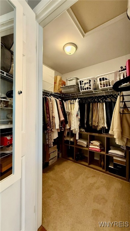 93 Park Lane, Grand Island, New York image 23