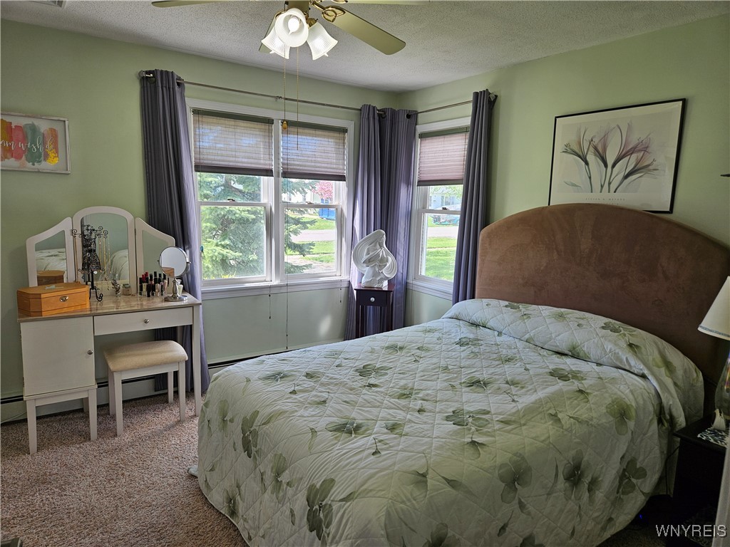 4935 Mount Vernon Boulevard, Hamburg, New York image 25