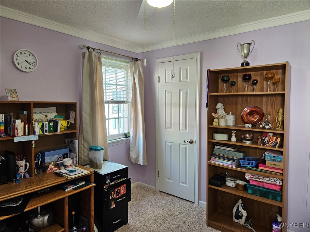 4935 Mount Vernon Boulevard, Hamburg, New York image 24