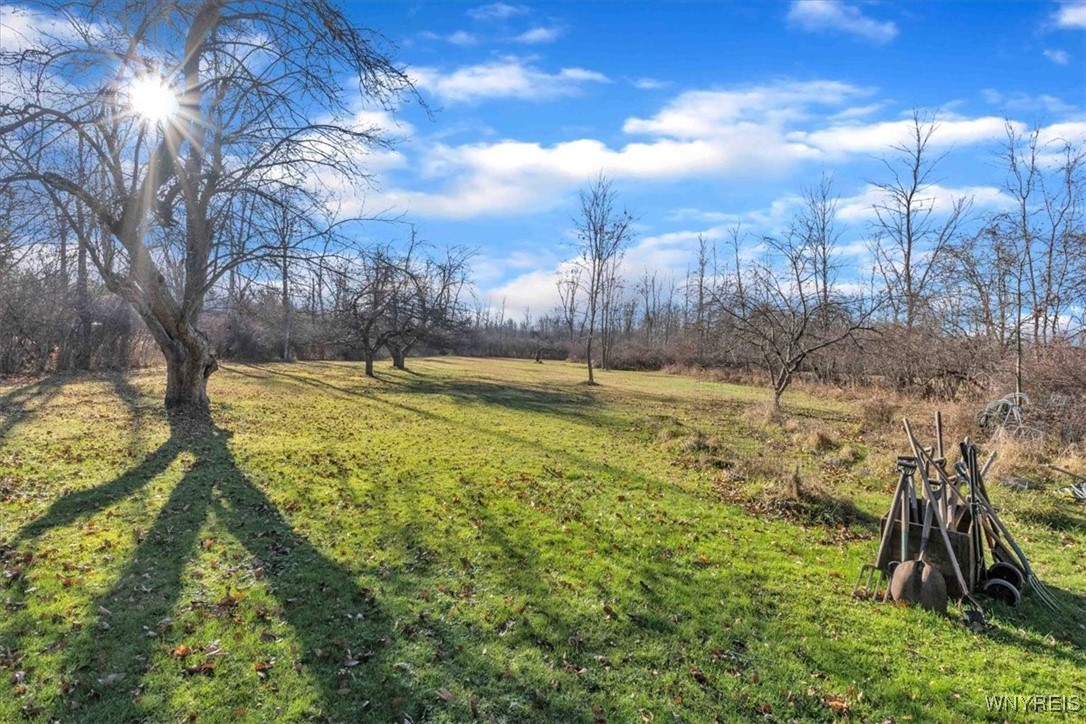 9005 Tonawanda Crk Road