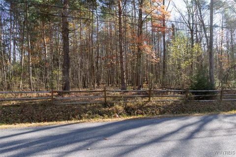 Vacant Land For Sale - 9881+9937 Larkin Road<br/> Eden, NY 14057