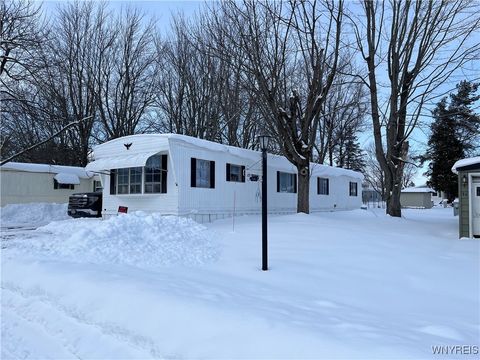 Photo of 35 Holly Street, Newstead, NY 14001 (MLS # B1660646)