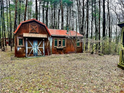 Vacant Land For Sale - 3631 Pine Ridge Road<br/> Allegany County, Clarksville, NY 14727