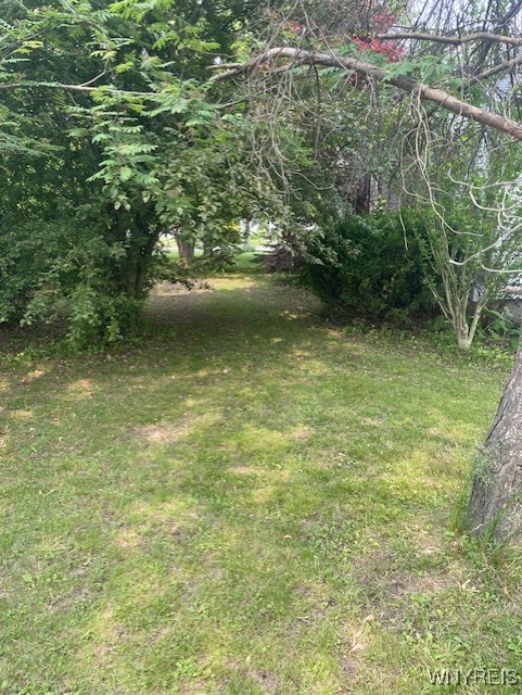 1003 98th Street, Niagara Falls, New York image 4