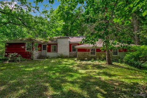 8905 County Rd Clarence Center NY 14032
