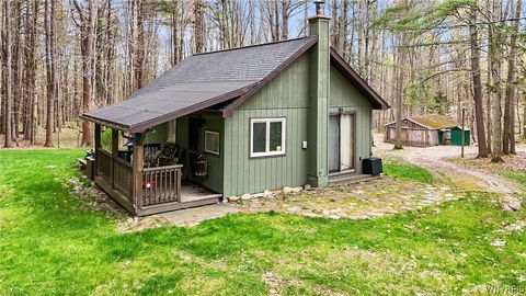 Homes For Sale - 9388 Council House Road<br/> Allegany County, Caneadea, NY 14717