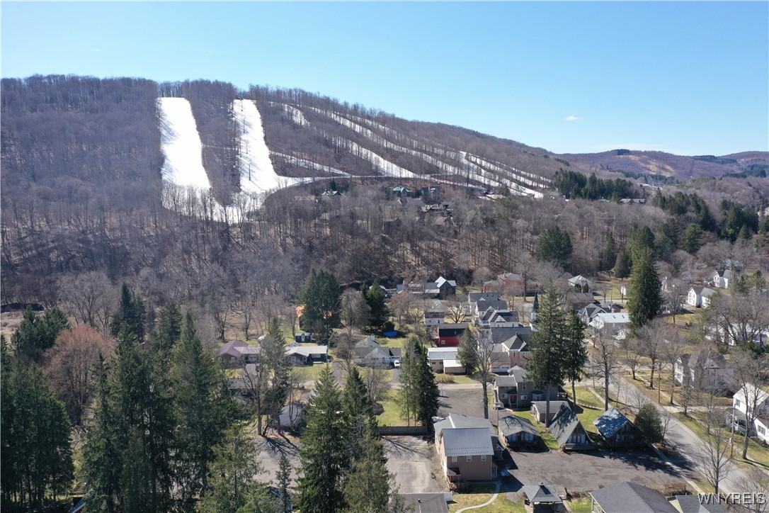 28 Martha Street, Ellicottville, New York image 46