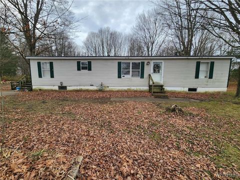 1213 County Route 3 Hannibal NY 13074