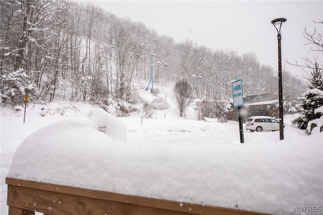 G303 Snowpine, Great Valley, New York image 25
