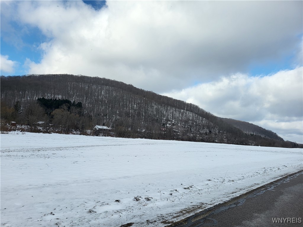 Martin Road, Great Valley, New York image 5