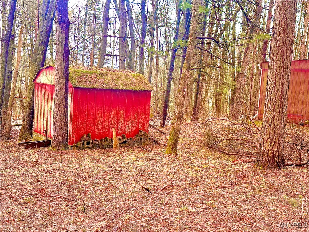 3634 Pine Ridge Road, Clarksville, New York image 4