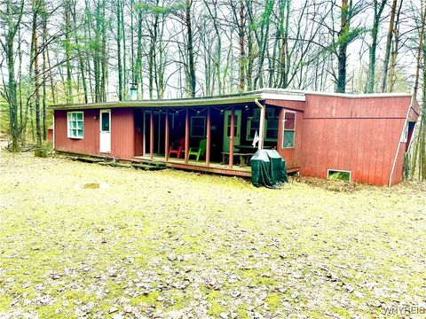 Vacant Land For Sale - 3634 Pine Ridge Road<br/> Allegany County, Clarksville, NY 14727