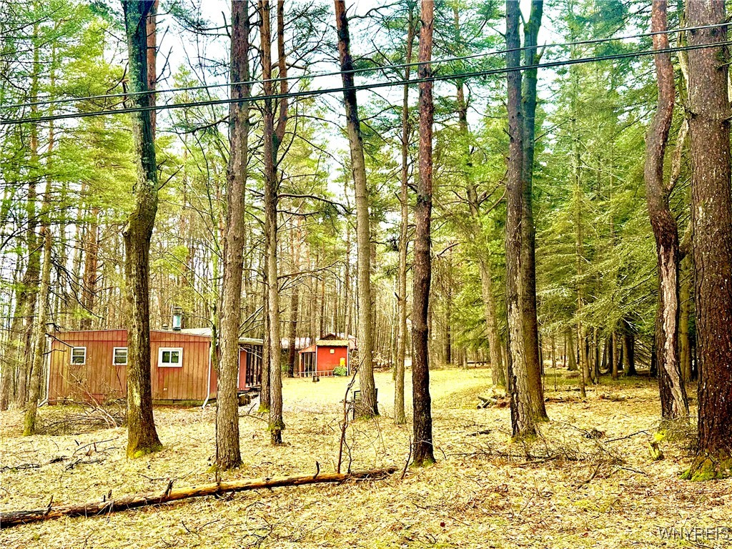 3634 Pine Ridge Road, Clarksville, New York image 3