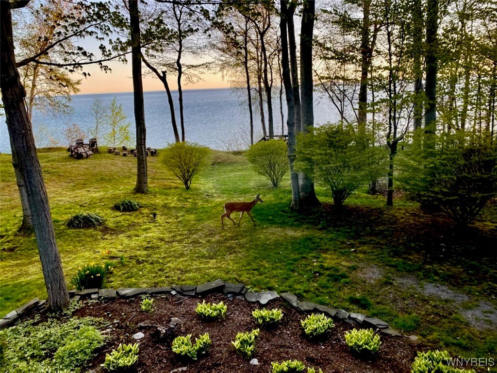 7131 7135 7141 Lakeshore Terrace, Newfane, New York image 48