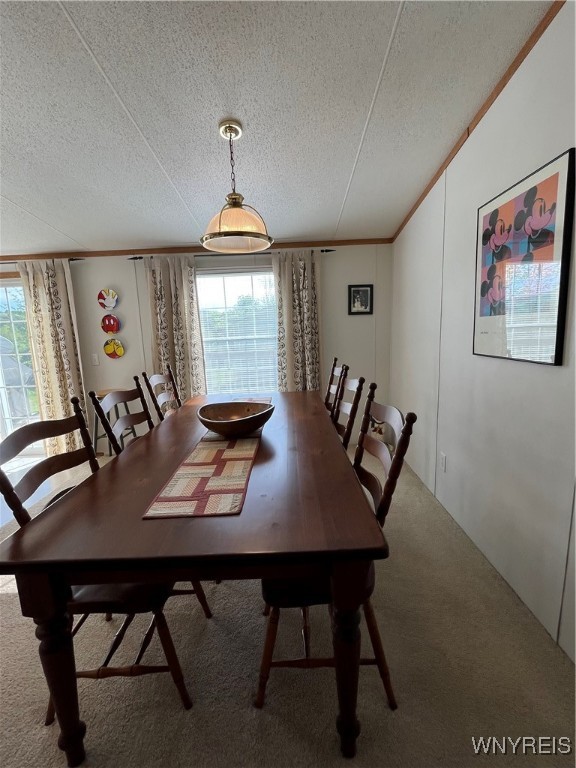 53 Green Valley Estates, Great Valley, New York image 12