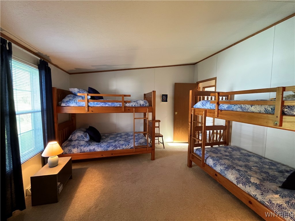53 Green Valley Estates, Great Valley, New York image 29