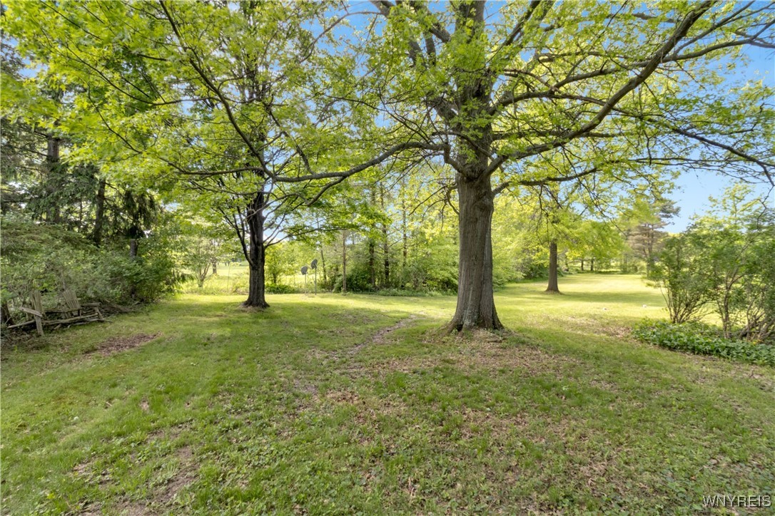 2671 Brown Street, Collins, New York image 29