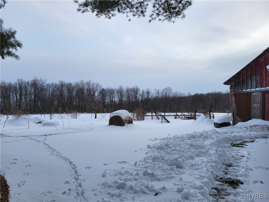 4553 Leach Hill Road, Ellington, New York image 18